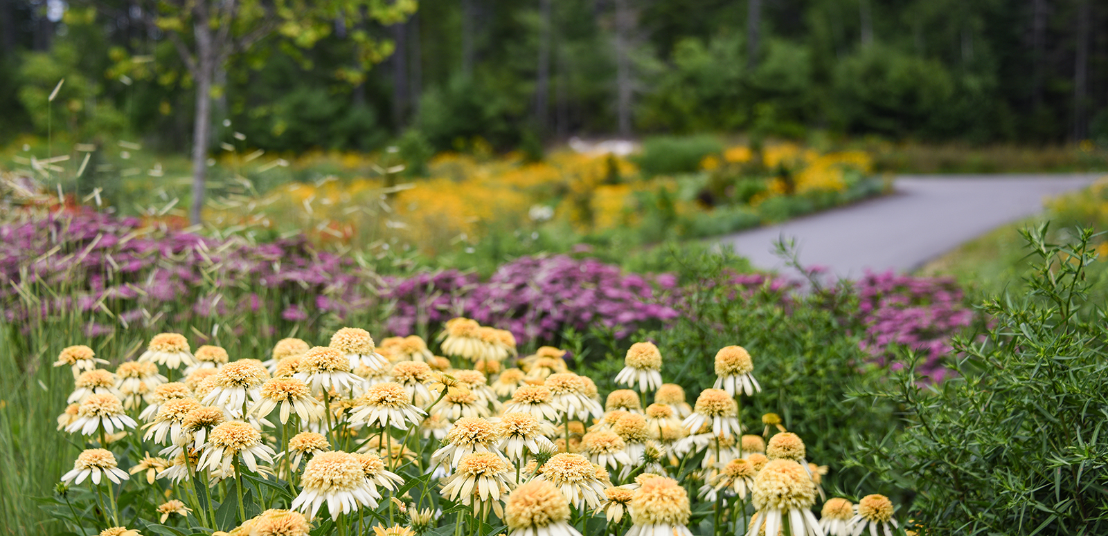 Gardening For Beginners Classes Near Me