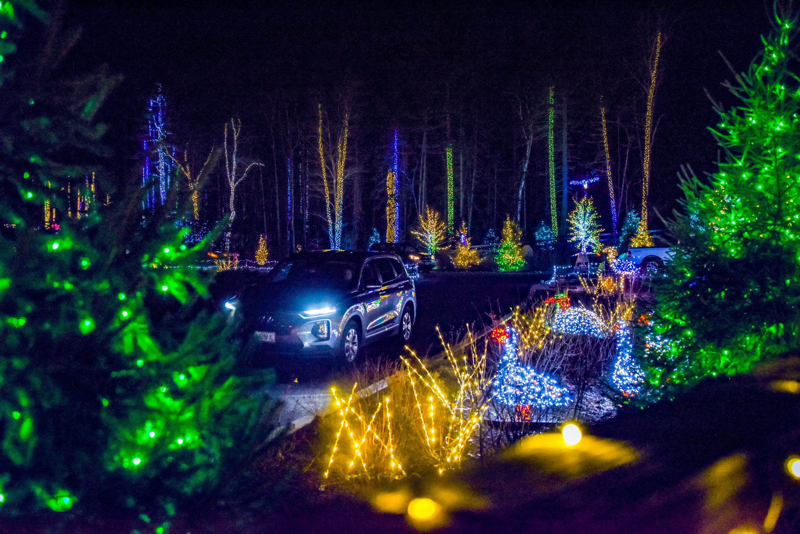 Gardens Aglow Coastal Maine Botanical Gardens