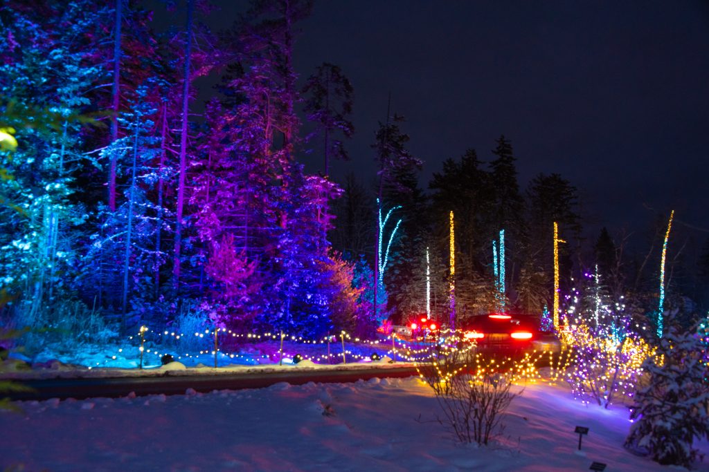 Maine Botanical Gardens Christmas 2022 Gardens Aglow | Coastal Maine Botanical Gardens