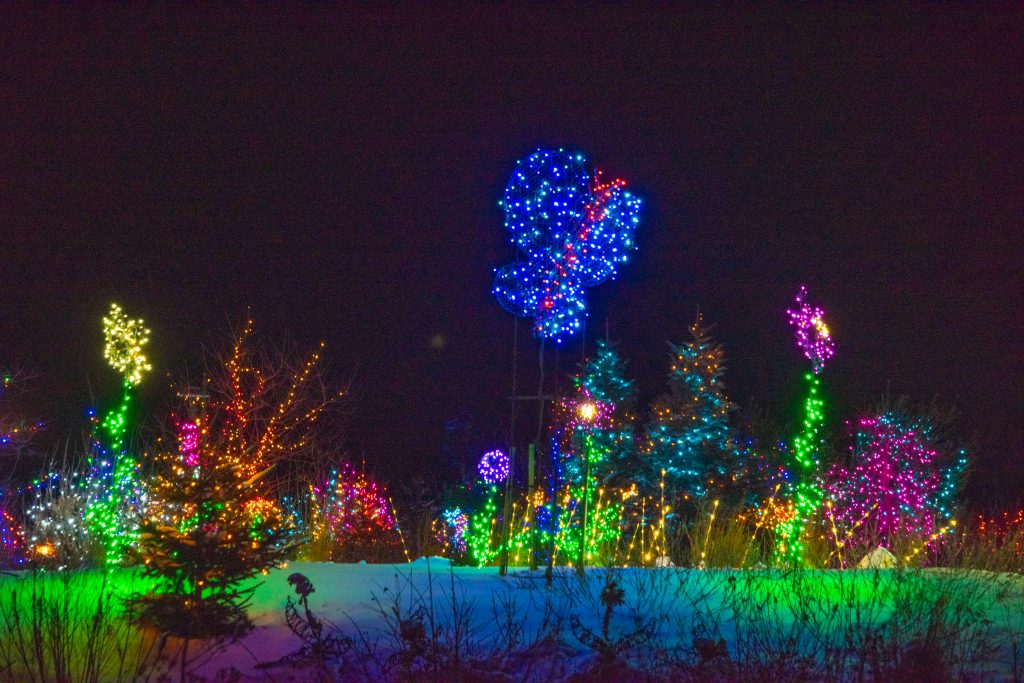 Maine Botanical Gardens Christmas Lights 2022 Gardens Aglow | Coastal Maine Botanical Gardens