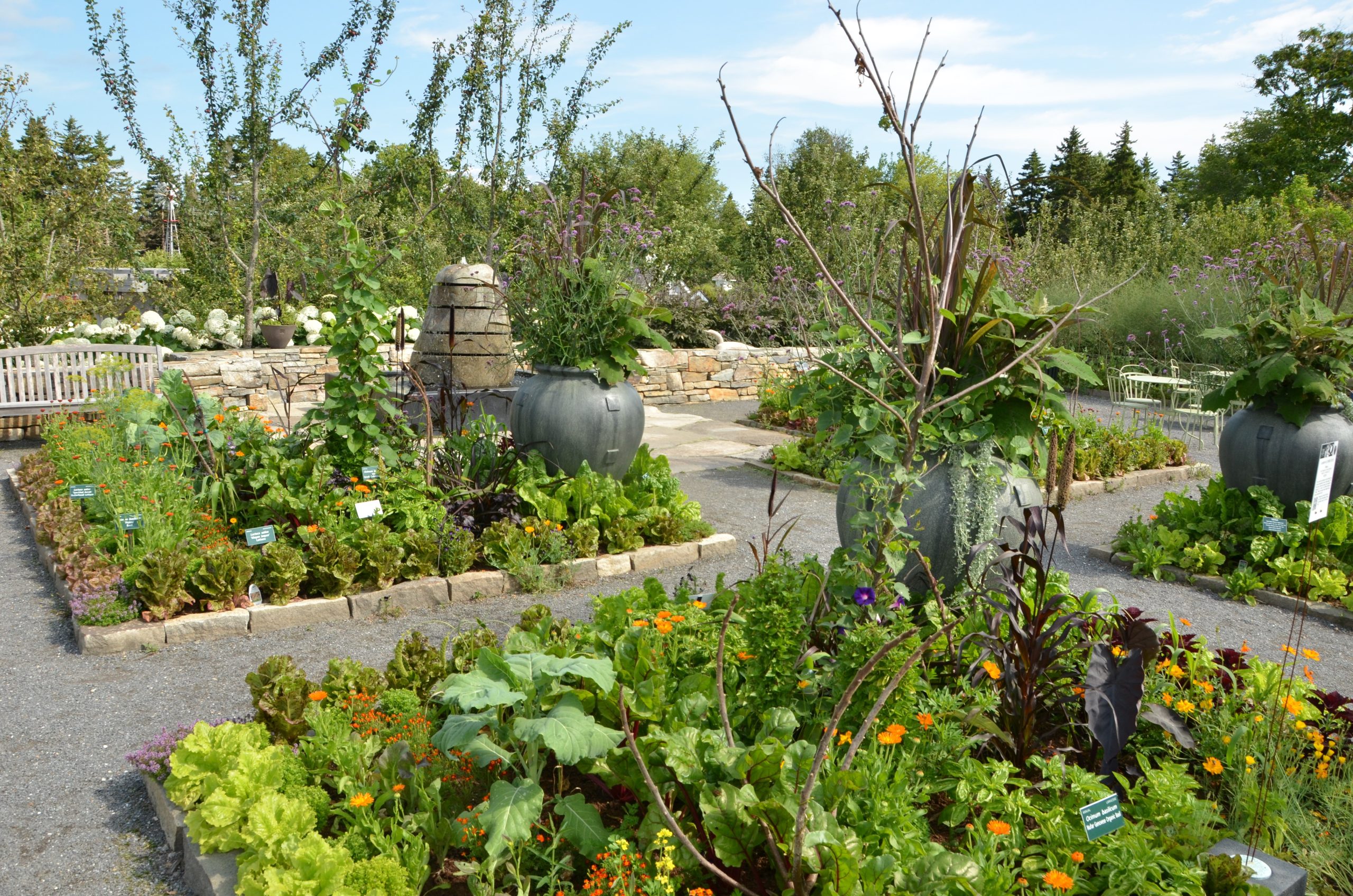 Vegetable Garden Kitchen Towel – UC Botanical Garden at Berkeley