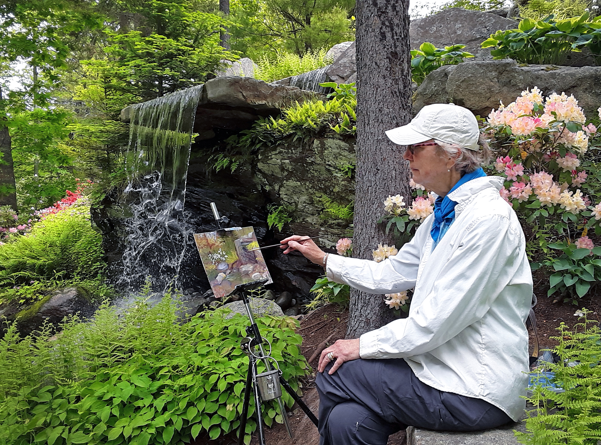 Plein Air Days | Coastal Maine Botanical Gardens