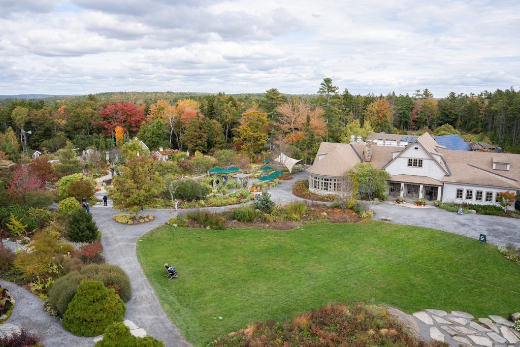 Fall Landscape from Lift 01073