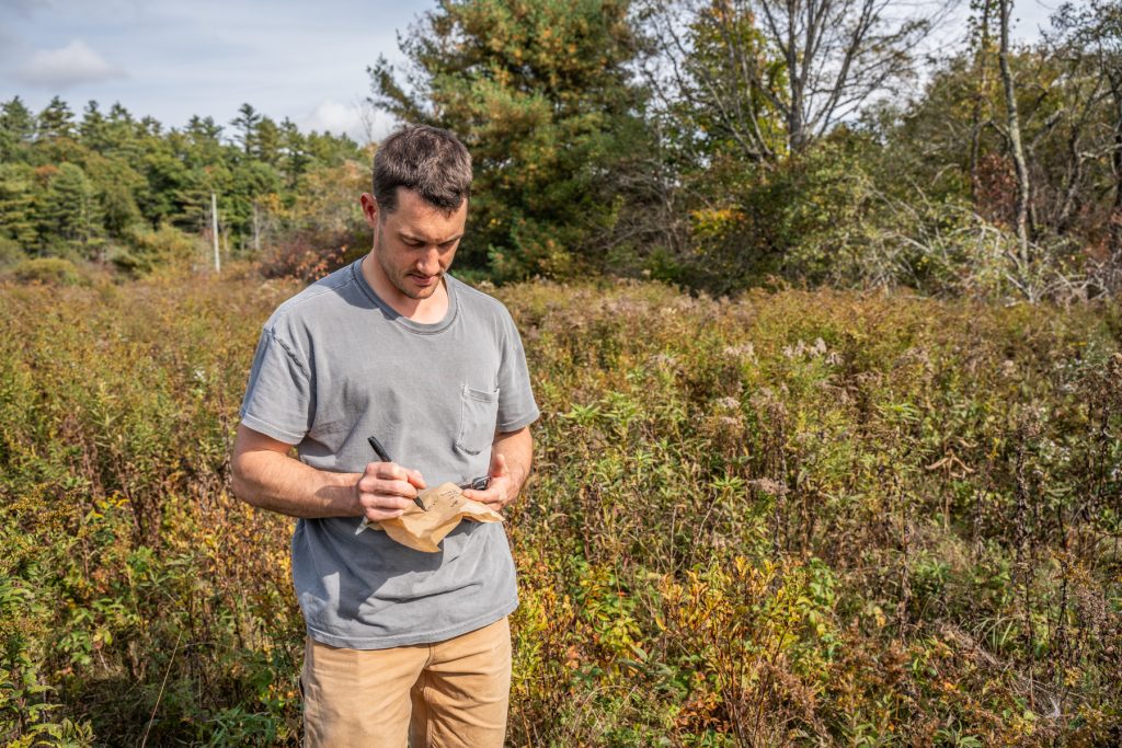 seed collecting for Northeast Seed Network 00909