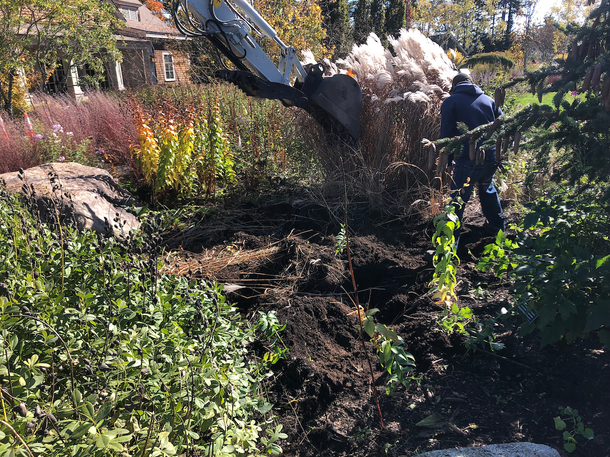 Great Lawn Miscanthus Removal 2023 with Staff