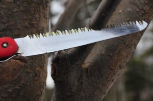 A pruning saw cutting a tree branch.